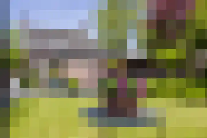 Schoolstraat 35 Volkel thumbnail 50