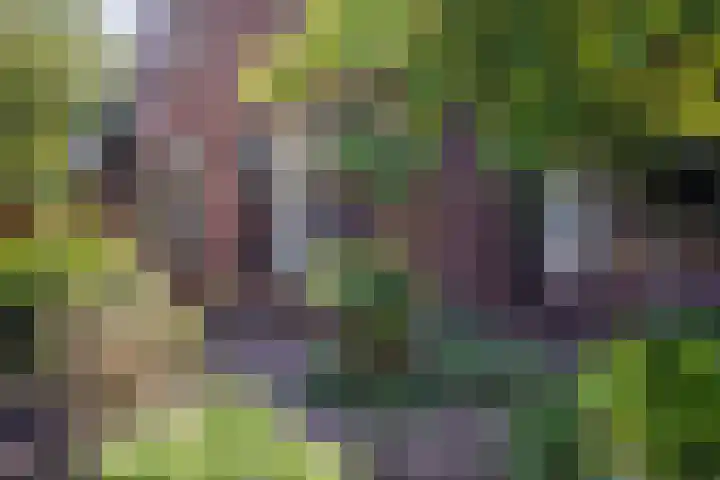 Schoolstraat 35 Volkel thumbnail 55