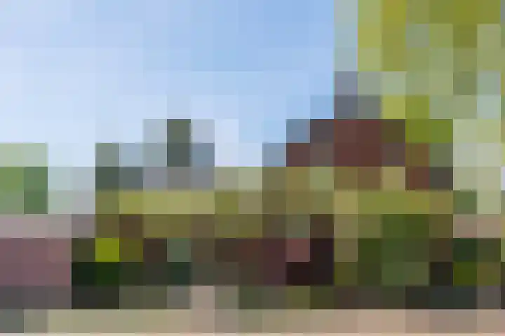 Schoolstraat 35 Volkel thumbnail 56