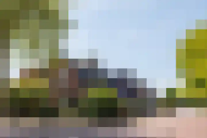 Schoolstraat 35 Volkel thumbnail 57