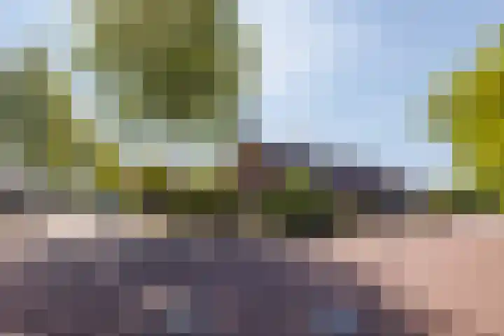 Schoolstraat 35 Volkel thumbnail 58