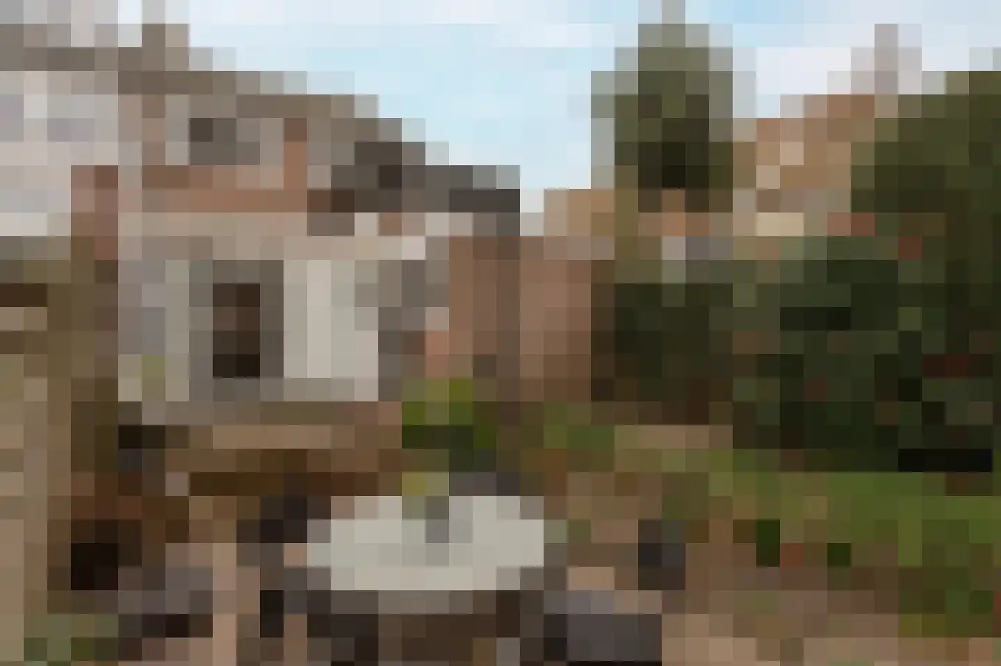 Schoolstraat 35 Wassenaar thumbnail 16