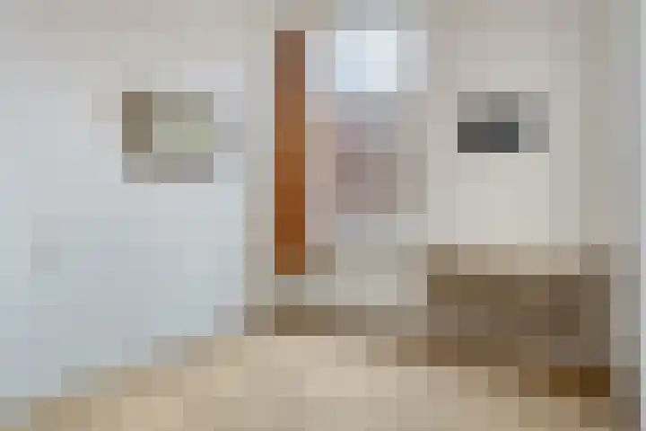 Schoolstraat 36 Goor thumbnail 18