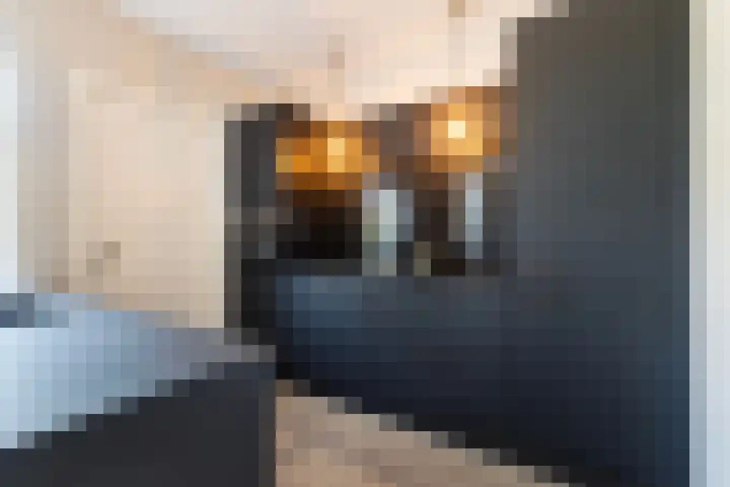 Schoolstraat 36 Sneek thumbnail 17