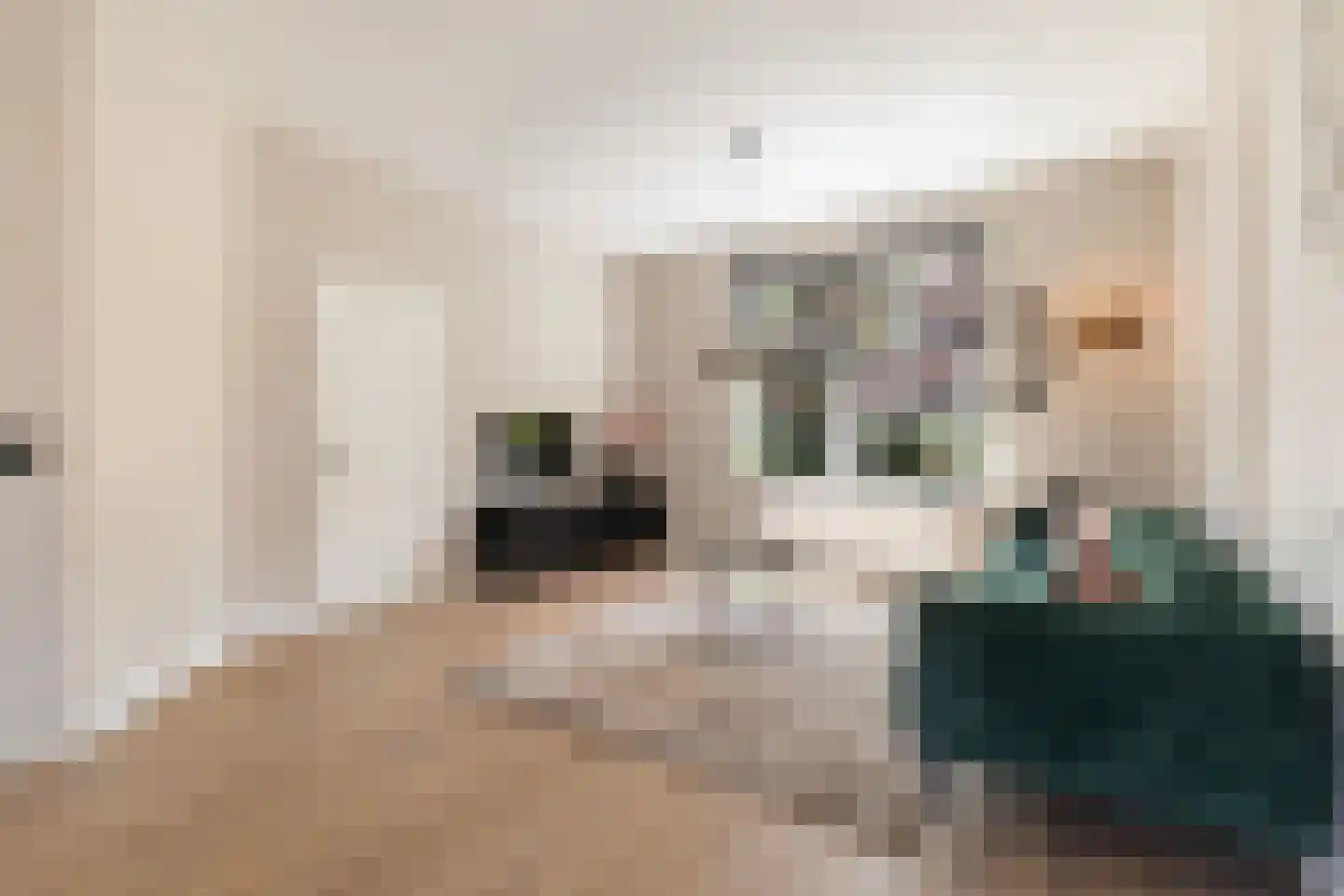 Schoolstraat 36 Sneek thumbnail 8