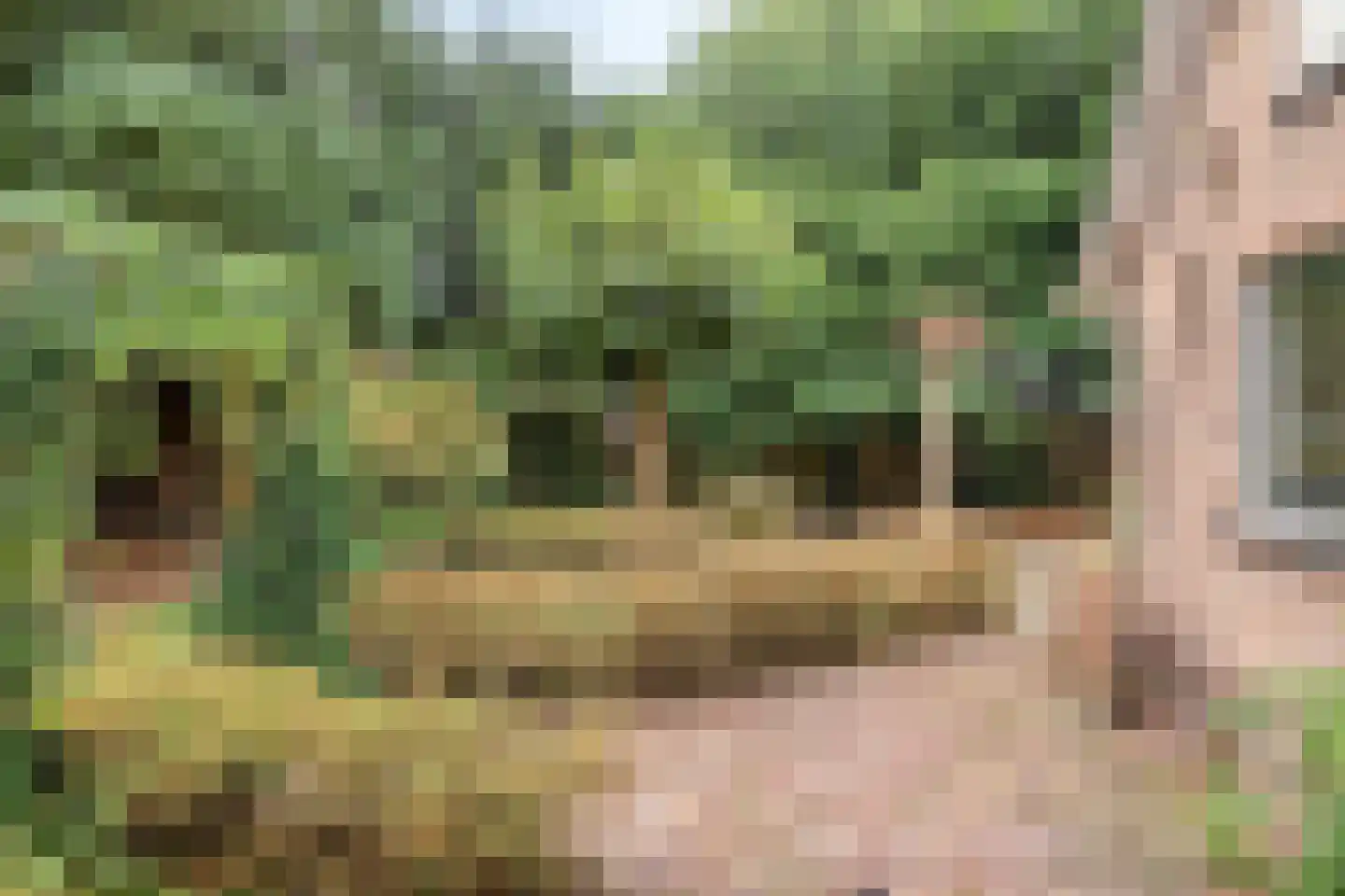 Schoolstraat 36 Tilligte thumbnail 24