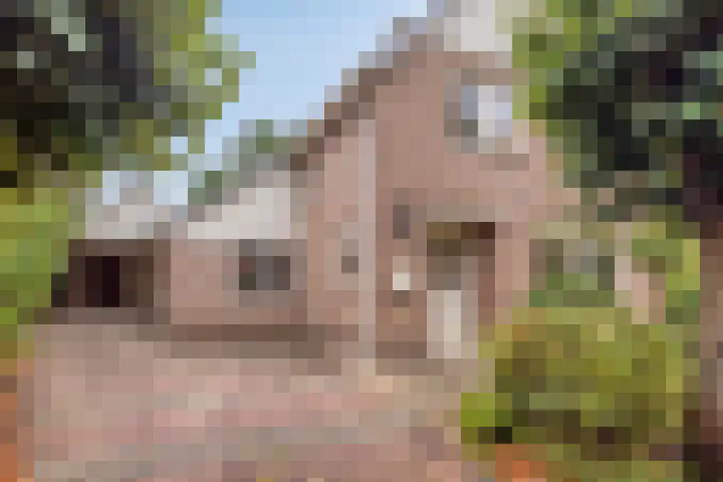 Schoolstraat 36 Tilligte thumbnail 29