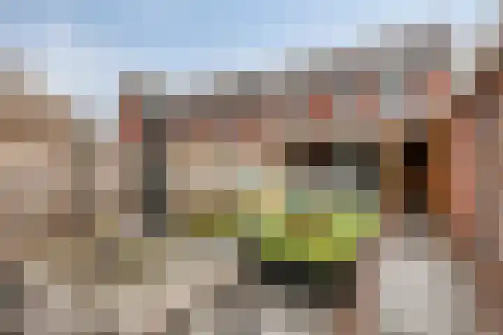 Schoolstraat 37 Ederveen thumbnail 28