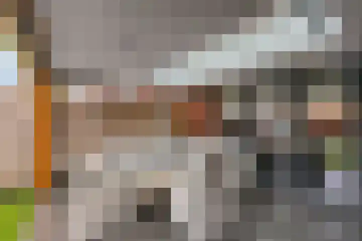 Schoolstraat 37 Ederveen thumbnail 31