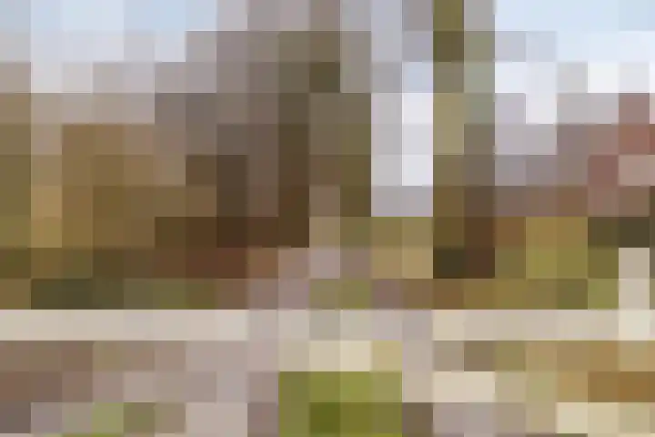 Schoolstraat 37 Ederveen thumbnail 38