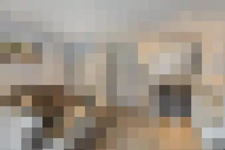 Schoolstraat 37 Ederveen thumbnail 7