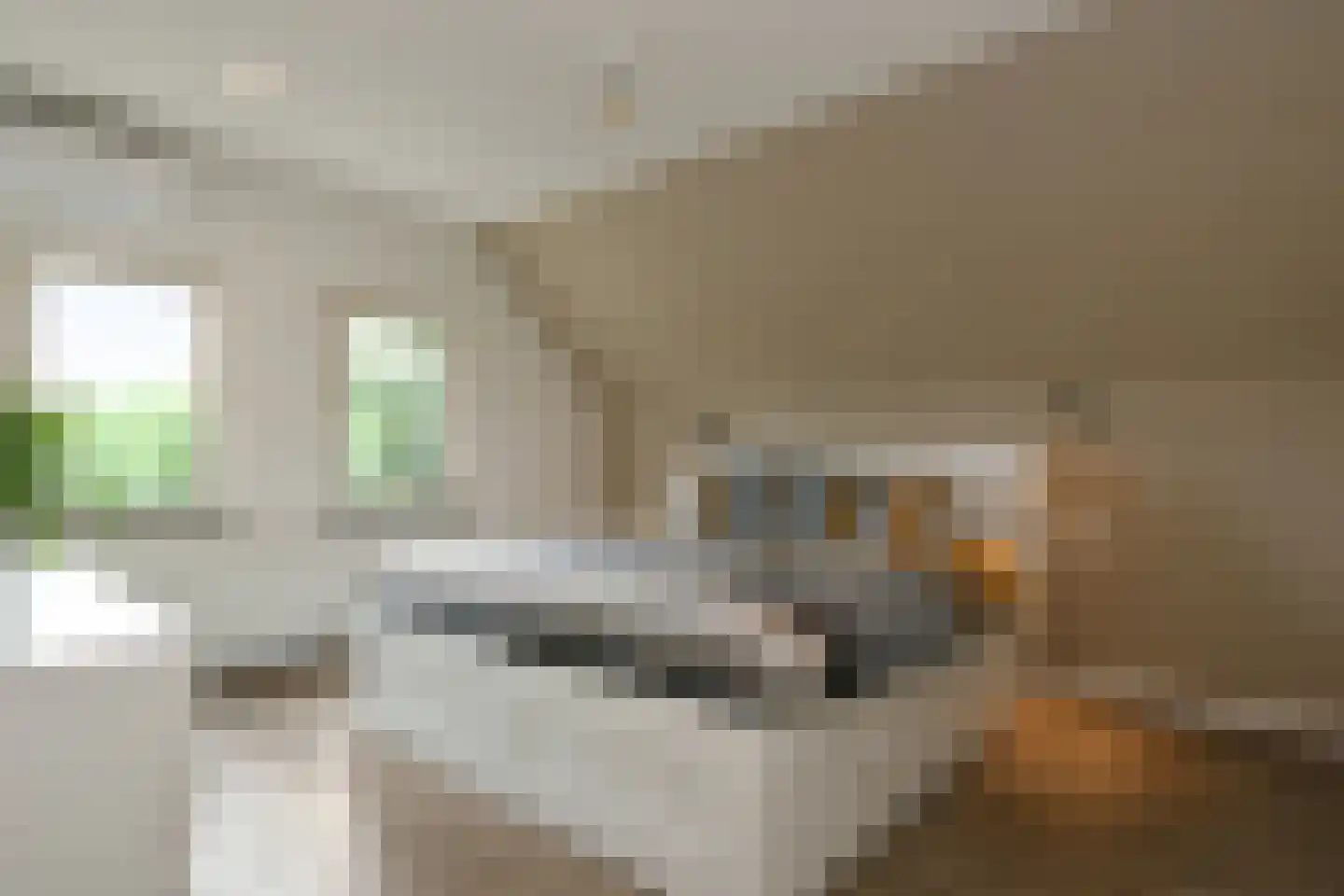 Schoolstraat 38 Herten thumbnail 15