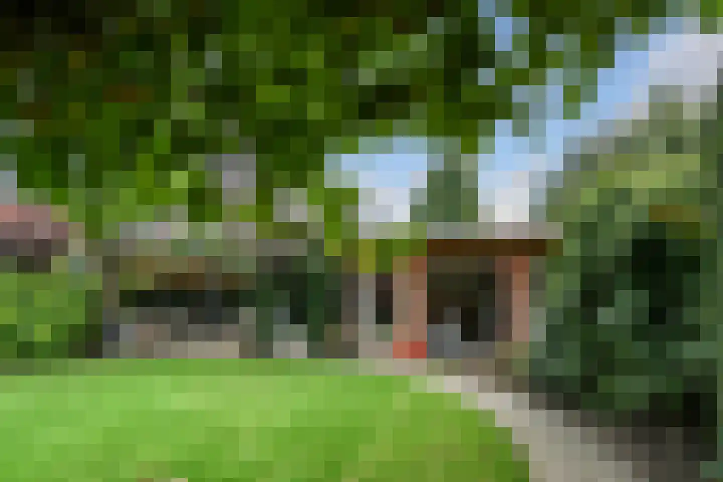 Schoolstraat 38 Herten thumbnail 21