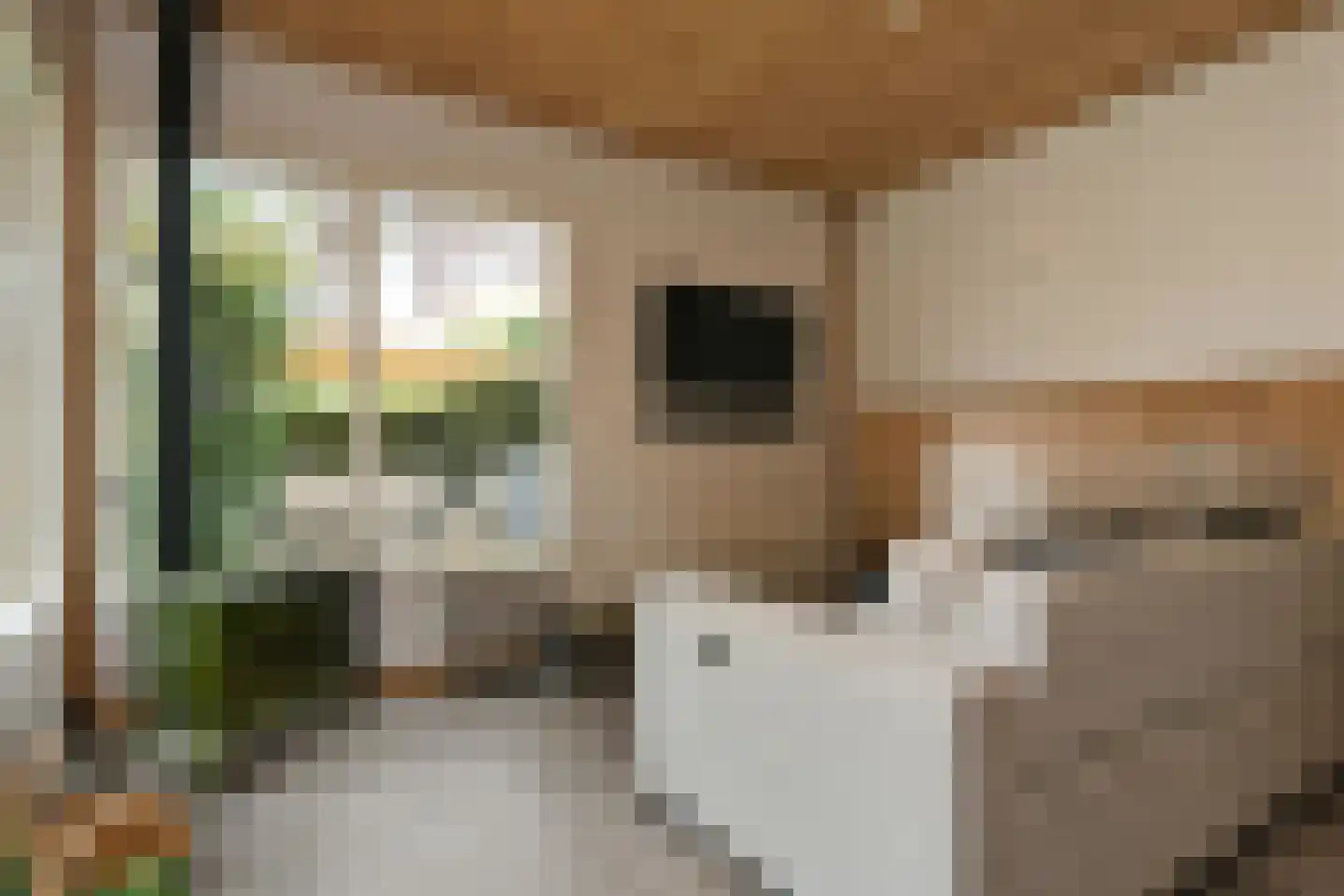 Schoolstraat 38 Herten thumbnail 22