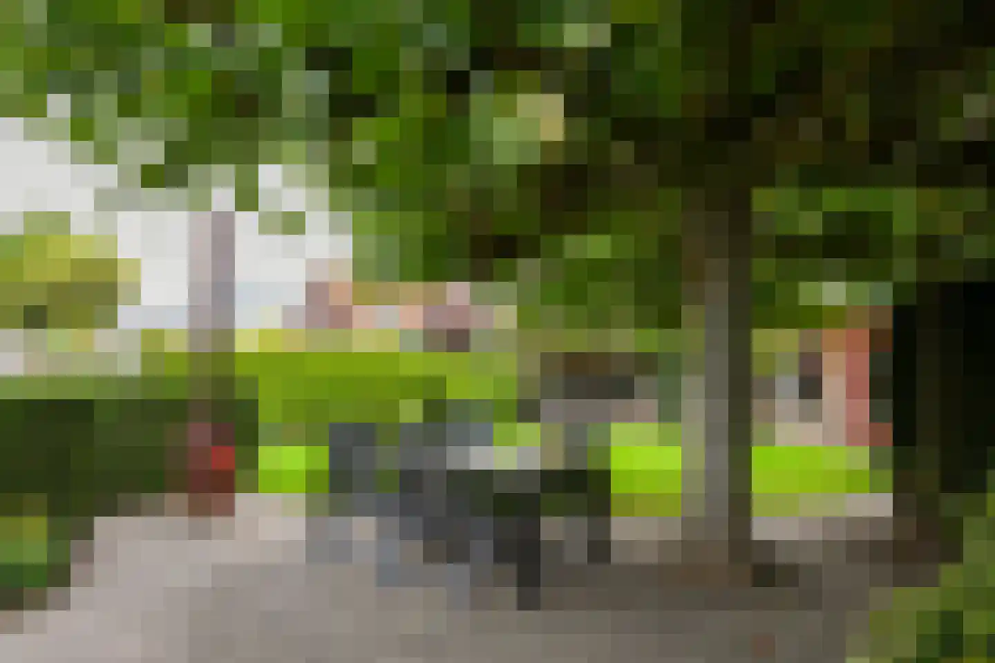 Schoolstraat 38 Herten thumbnail 25