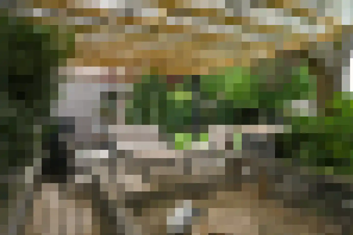 Schoolstraat 38 Herten thumbnail 26