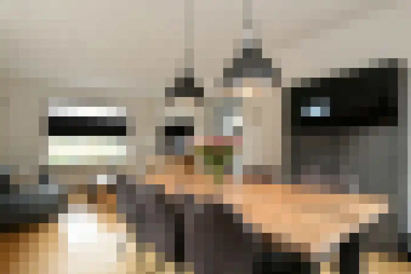 Schoolstraat 38 Herten thumbnail 6