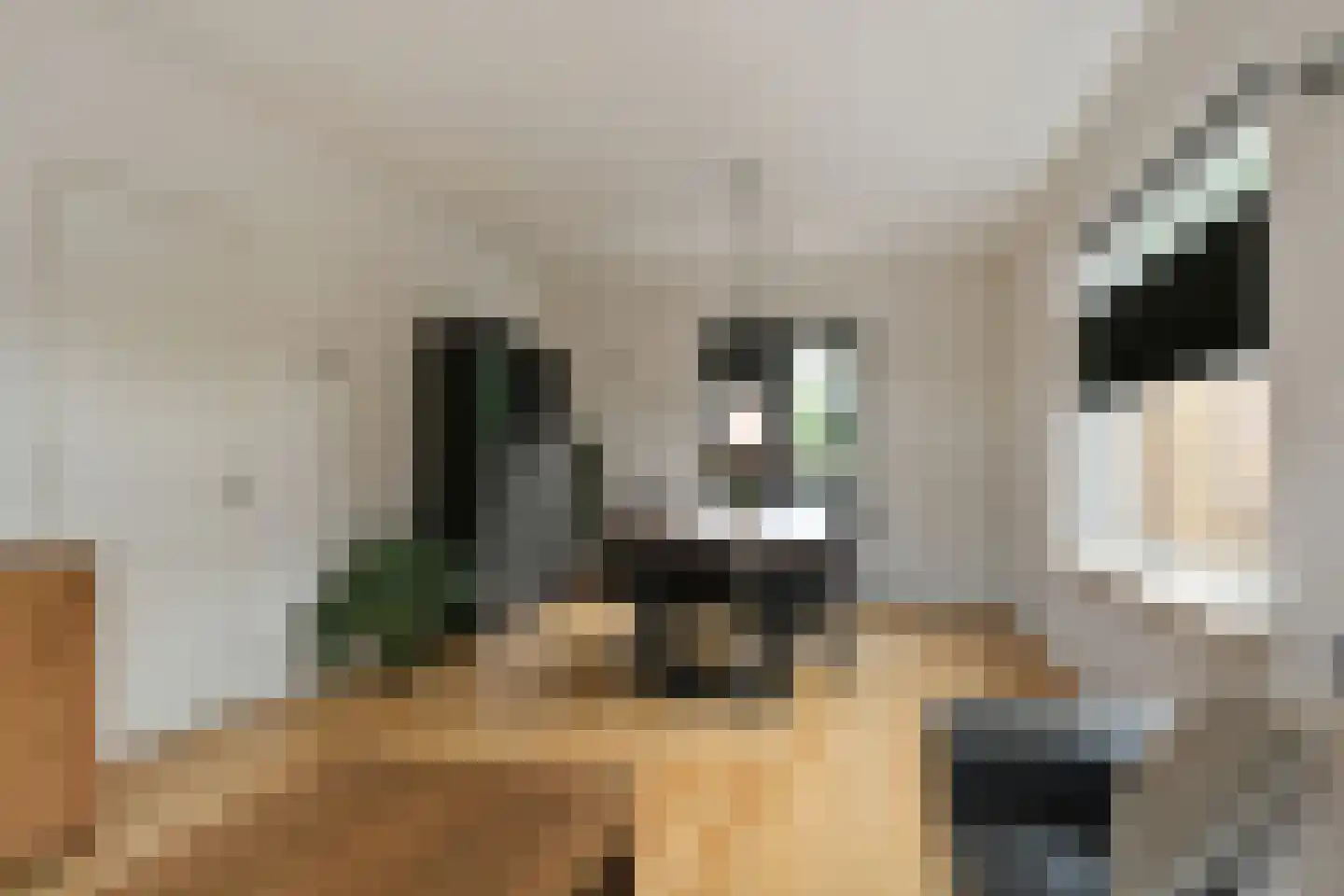 Schoolstraat 38 Herten thumbnail 8