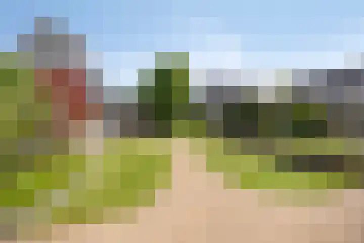 Schoolstraat 39 Luttelgeest thumbnail 27