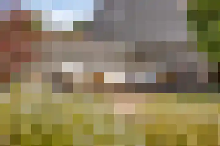 Schoolstraat 39 Luttelgeest thumbnail 32