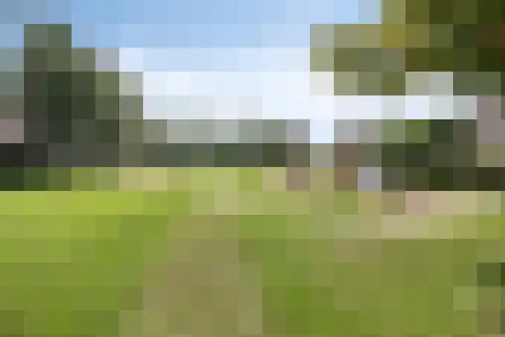 Schoolstraat 39 Luttelgeest thumbnail 33