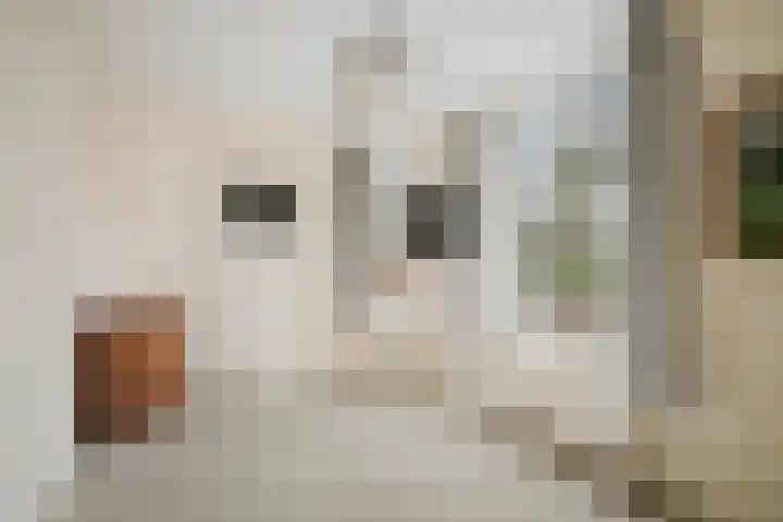 Schoolstraat 4 A Twello thumbnail 22