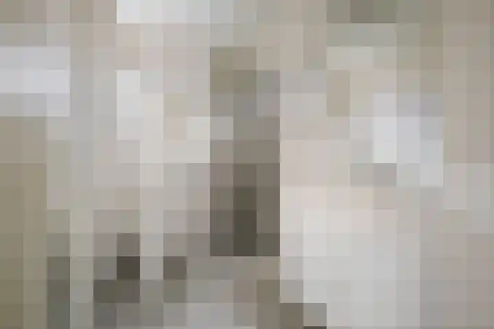 Schoolstraat 4 A Twello thumbnail 24