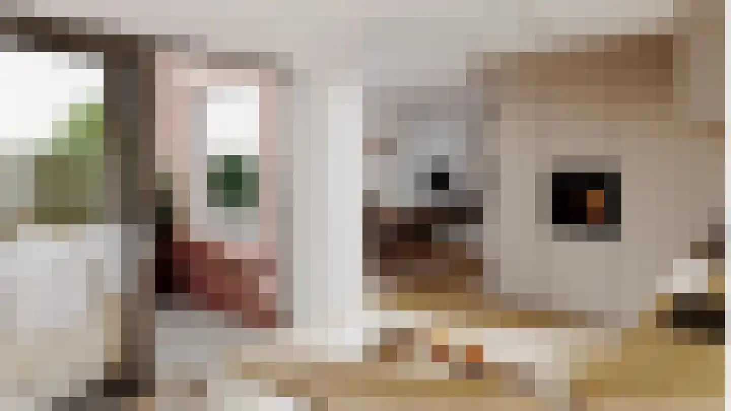 Schoolstraat 4 Belfeld thumbnail 10