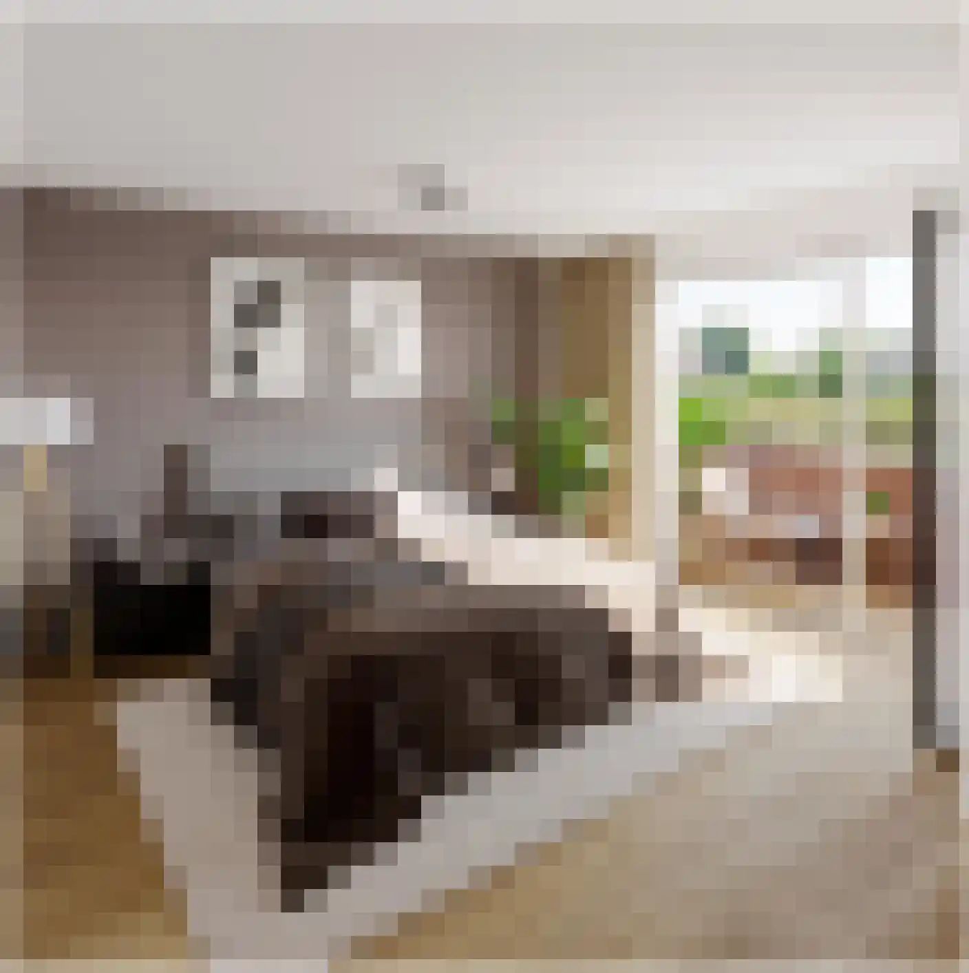 Schoolstraat 4 Belfeld thumbnail 11