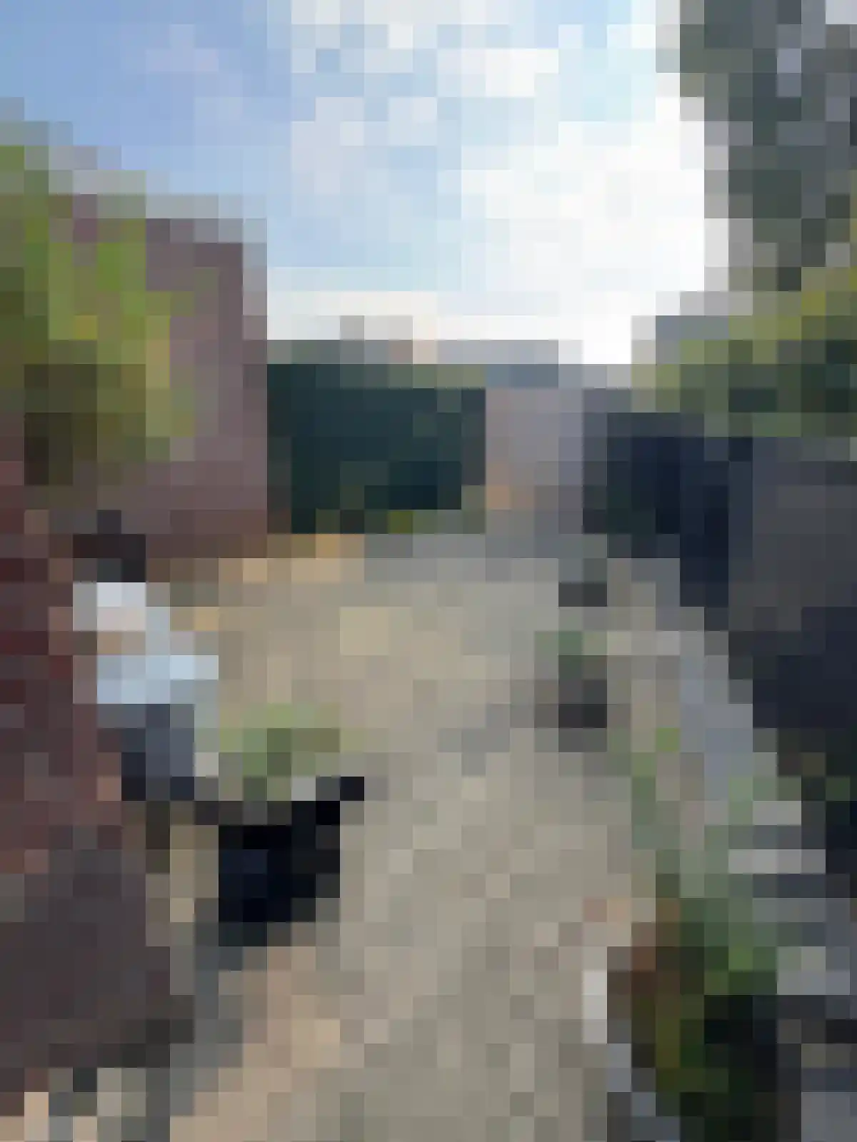 Schoolstraat 4 Belfeld thumbnail 4