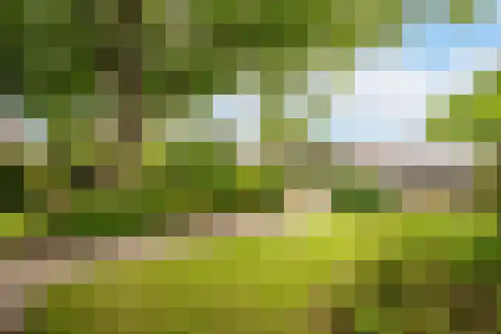 Schoolstraat 4 Berghem thumbnail 27