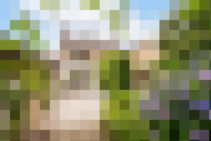 Schoolstraat 4 Berghem thumbnail 4