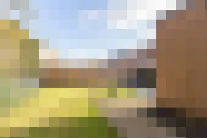 Schoolstraat 4 Bocholtz thumbnail 10