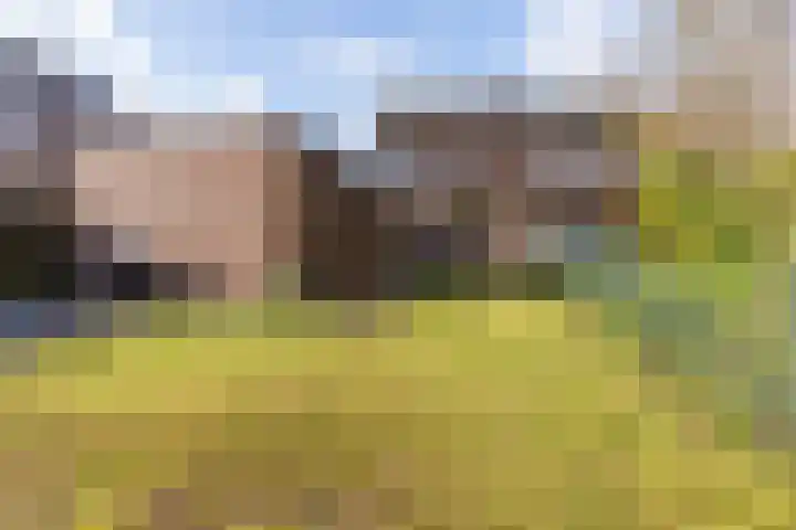Schoolstraat 4 Bocholtz thumbnail 11