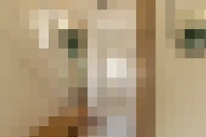 Schoolstraat 4 Bocholtz thumbnail 12