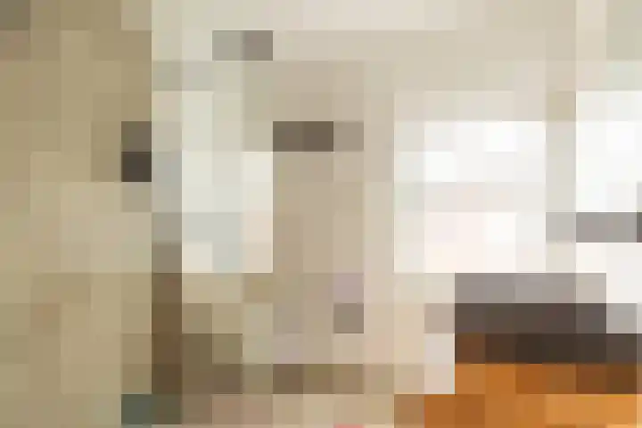 Schoolstraat 4 Bocholtz thumbnail 14