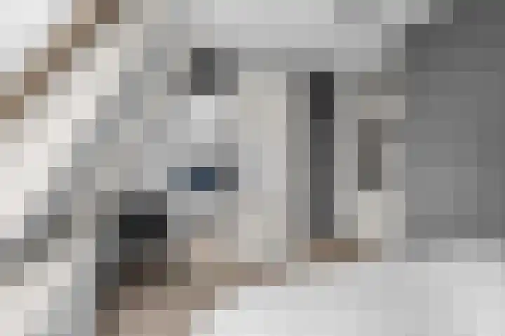 Schoolstraat 4 D Twello thumbnail 10