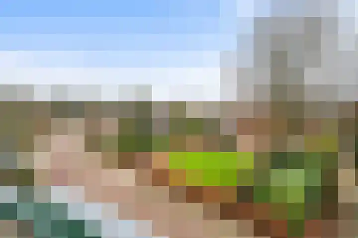 Schoolstraat 4 D Twello thumbnail 8