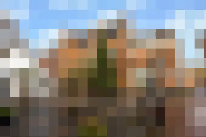 Schoolstraat 4 Groenlo thumbnail 30