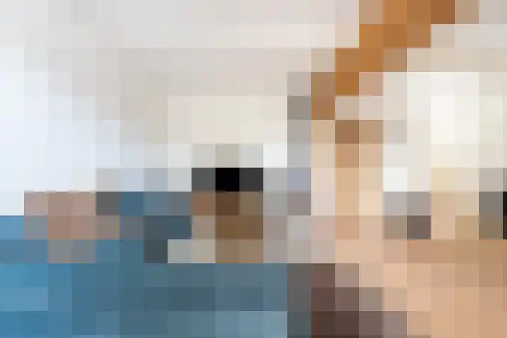 Schoolstraat 4 Huizen thumbnail 12