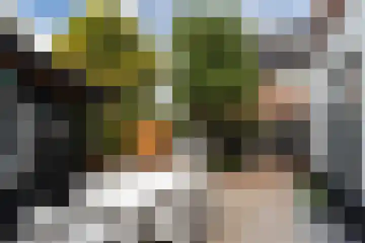 Schoolstraat 4 Huizen thumbnail 6