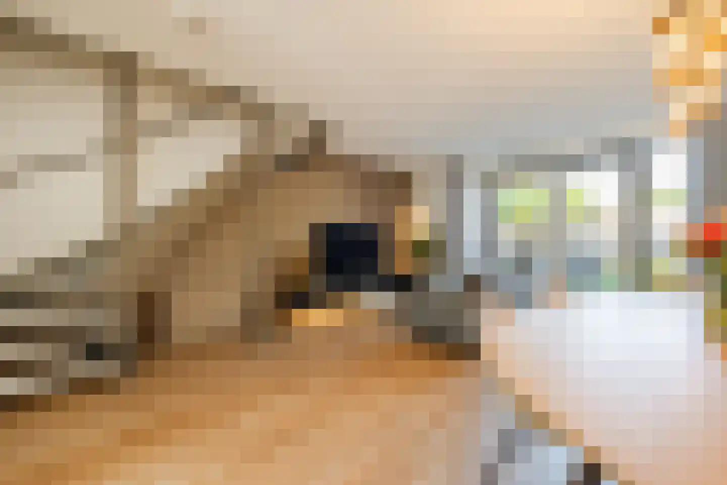 Schoolstraat 4 Leende thumbnail 4