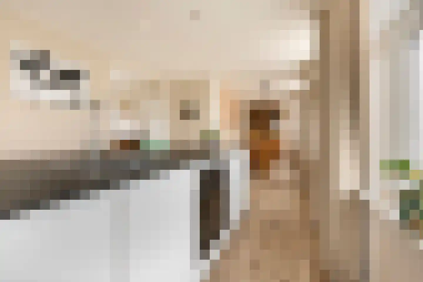 Schoolstraat 4 Oldehove thumbnail 10