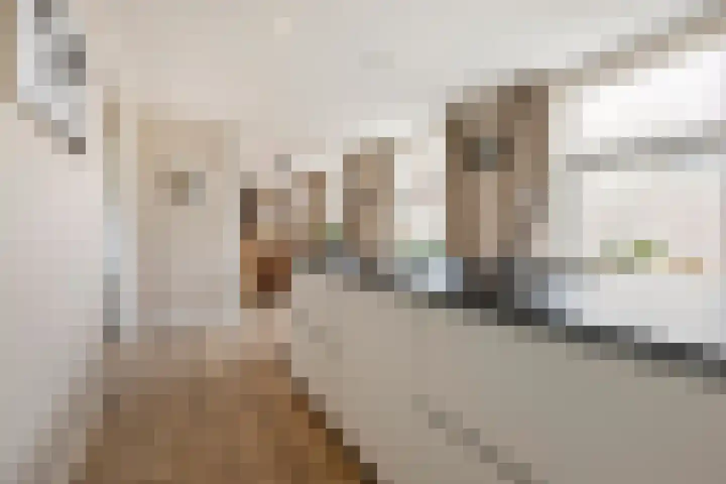 Schoolstraat 4 Oldehove thumbnail 11
