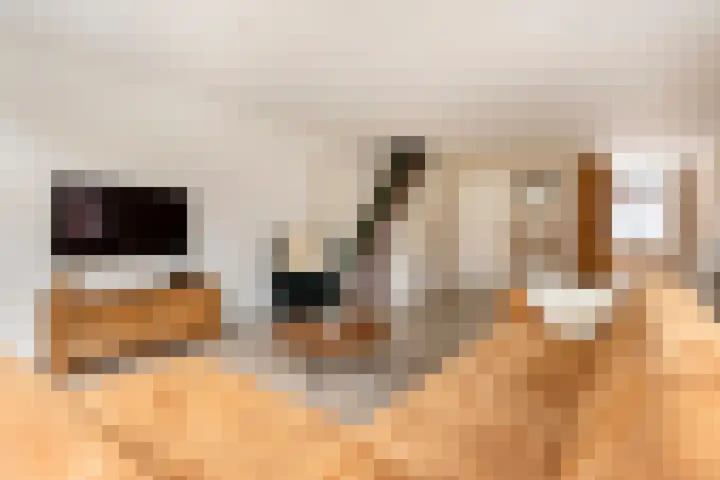 Schoolstraat 4 Oldehove thumbnail 17