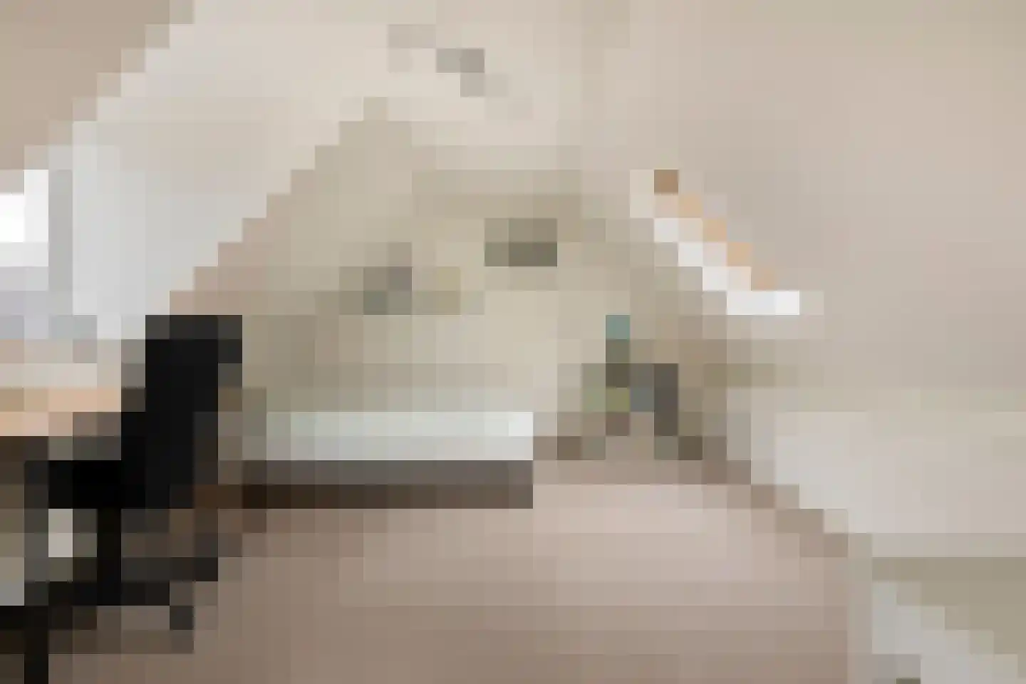 Schoolstraat 4 Oldehove thumbnail 30