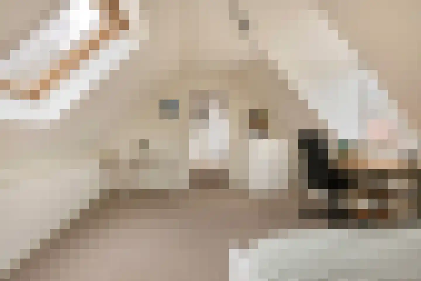 Schoolstraat 4 Oldehove thumbnail 31