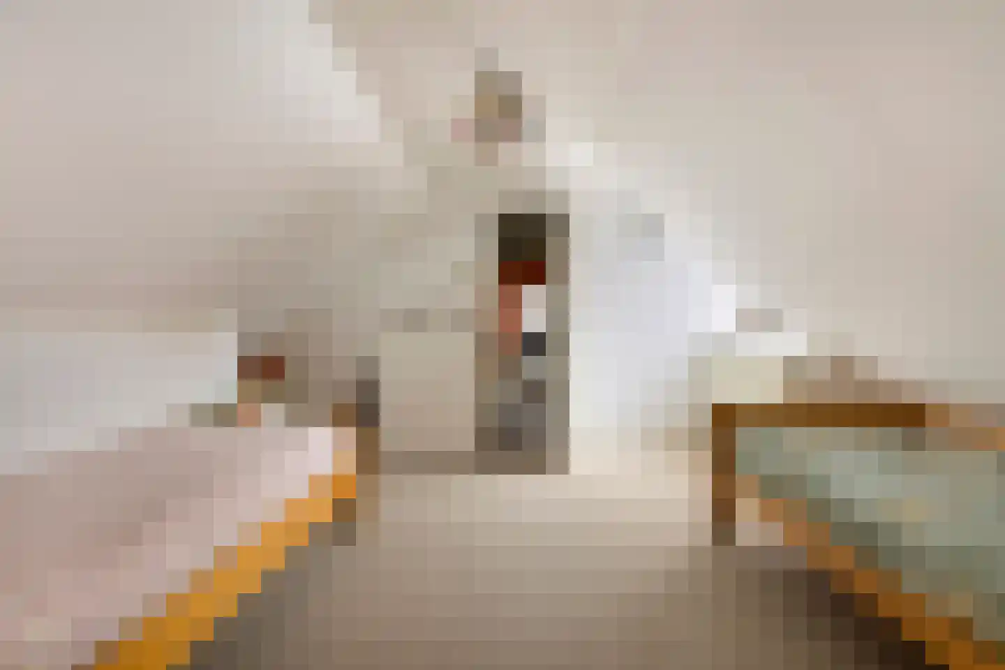 Schoolstraat 4 Oldehove thumbnail 34