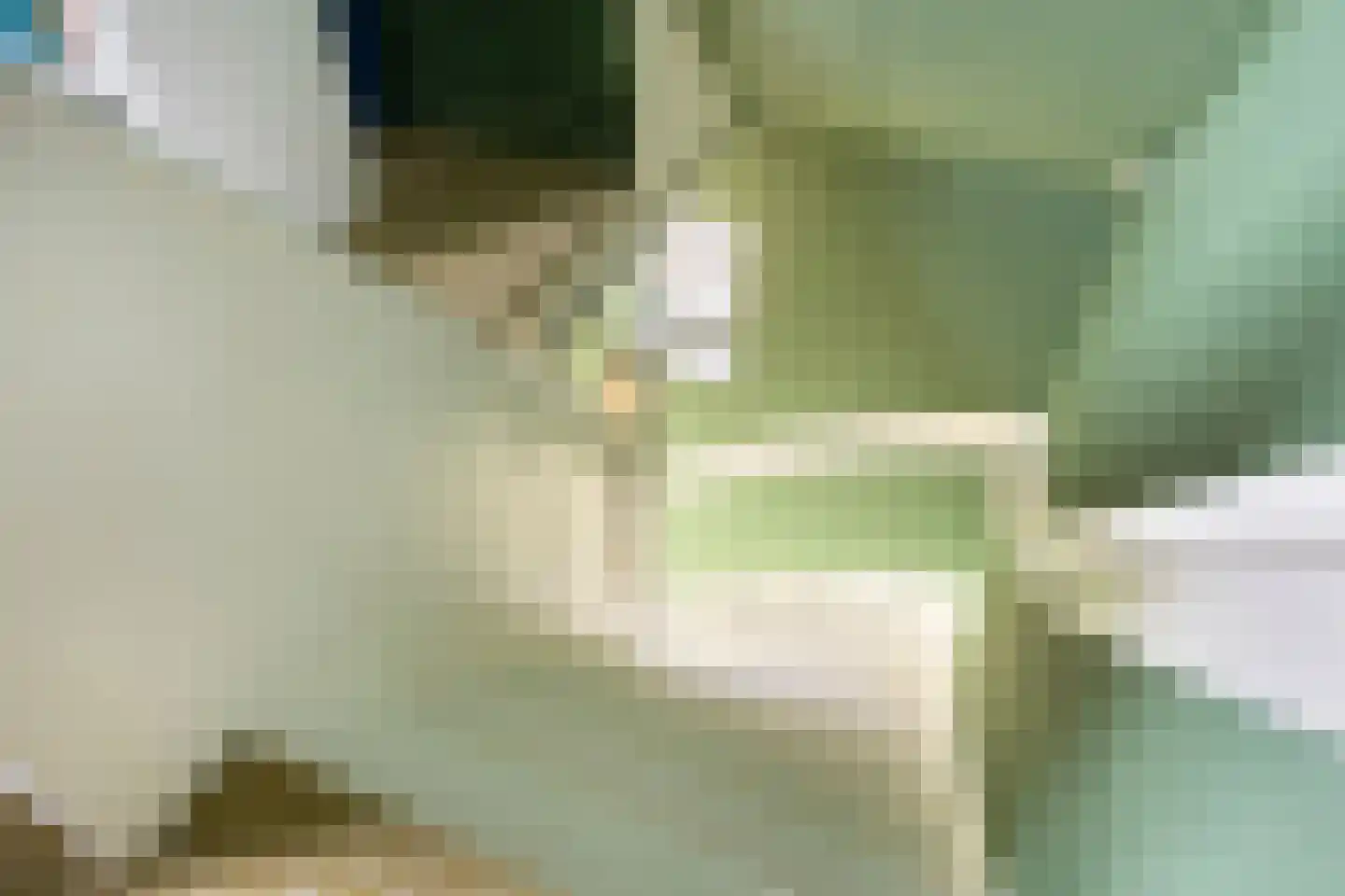 Schoolstraat 4 Oldehove thumbnail 36