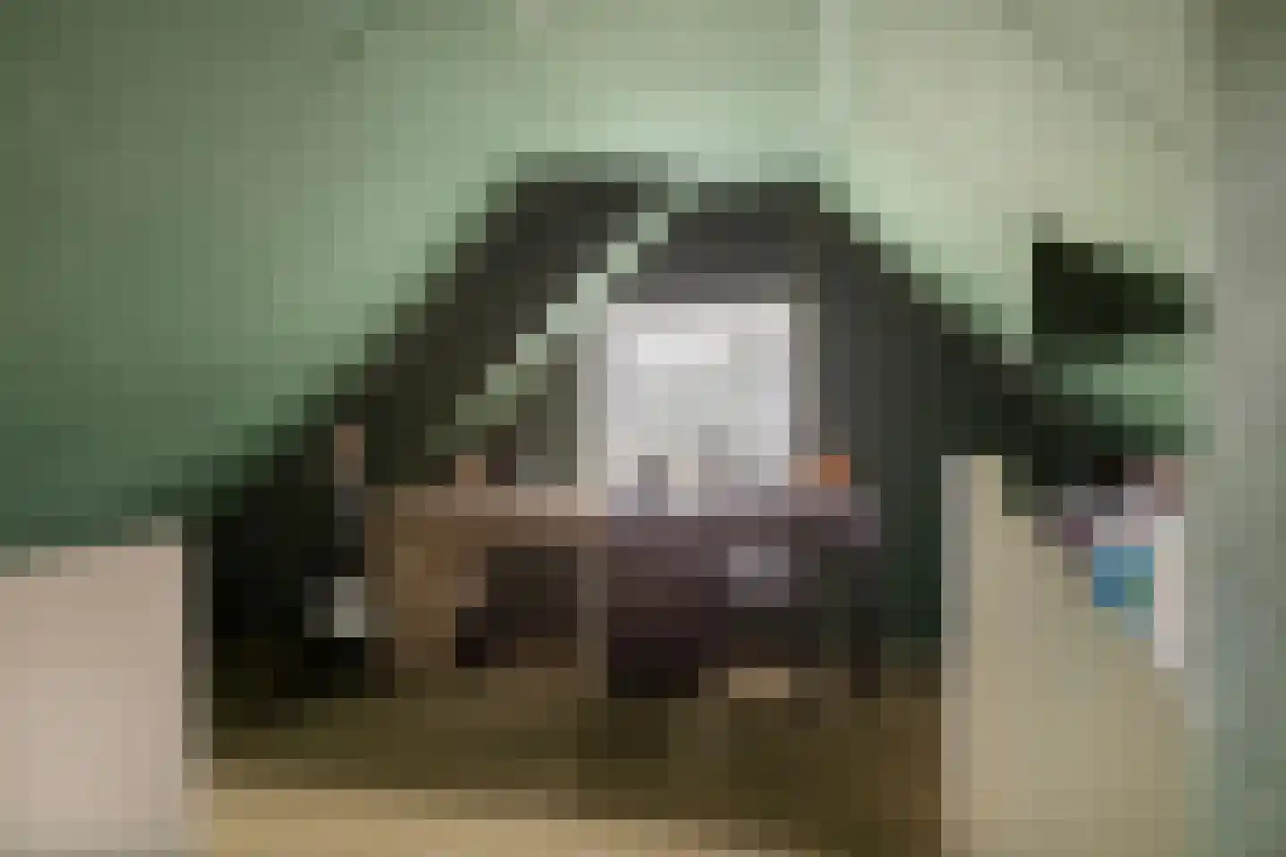Schoolstraat 4 Oldehove thumbnail 37